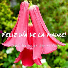 En la mayoría de los países se festeja en mayo, en otros tantos en marzo e incluso en algunos, como panamá y en españa hasta 1965, la fecha elegida fue el 8 de diciembre. Feliz Dia A Todas Consulado General De Chile En Miami Facebook