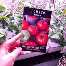 Aerogarden updated the aesthetics of their entire range recently, and i have been very impressed. Determinate Vs Indeterminate Tomatoes Our Little Suburban Farmhouse