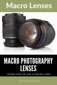 Macro Photography How To Use A Macro Lens Macro Lens Photography Macro Photography Macro Photography Tips