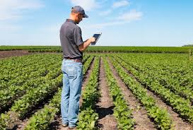 Aproape 123 000 de fermieri. Èase Mii De Fermieri Nu Au Depus Cereri La Apia Vrancea Monitorul De Vrancea