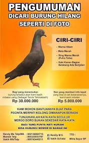 Here are the best motivational quotes and inspirational quotes about life and success to help you conquer life's challenges. Kata Kata Merpati Katapos