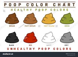 Image result for yellow stool human poop