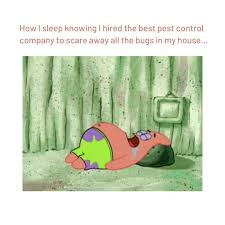 Maybe you would like to learn more about one of these? Flower Mound Pest Control Home Facebook