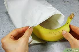 Find the best information and most relevant links on all topics related tothis domain may be for sale! Cara Mematangkan Pisang Lebih Cepat 10 Langkah Dengan Gambar