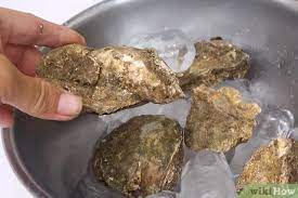 Place your online order now! How To Store Fresh Oysters 13 Steps With Pictures Wikihow