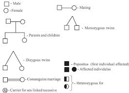 Symbols Used In Pedigree Charts Homework Help Assignment