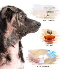 Hot spots are also referred to as acute moist dermatitis. 10 Home Remedies For Hot Spots In Dogs Fab How