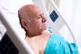 Forester Notices His Food Disappear Daily, Sees Shabby Girl Hiding in  Bushes — Story of the Day