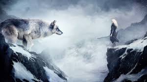 See more ideas about anime wallpaper, anime, anime images. 180 Wolf Hd Wallpapers Background Images