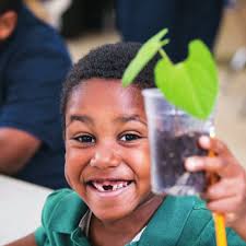 Transforming the Education Landscape