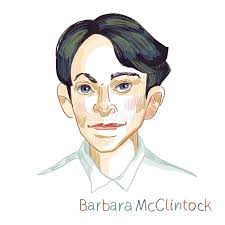 Barbara. Woman`s Name. Hand Drawn Lettering Stock Illustration