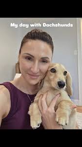 All in a days work with Dachshunds. Jimmy is our VIP guest for a traveling  professional hockey player.  #dachshund#minidachshund#dogboarding🏡#petboarding#weenerdog#sausagedog