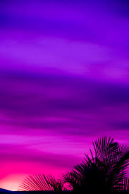 If you're in search of the best purple abstract wallpaper, you've come to the right place. Purple Wallpapers Free Hd Download 500 Hq Unsplash