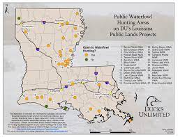 Louisiana public hunting land near me. Public Hunting On Du Projects In Louisiana