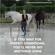 Let success make the noise. Horse Quotes Straightness Training Horses Horse Quotes Funny Horses
