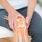 Somatic Yoga Exploration - Knees event image