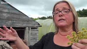 Edible Flowers at Maddocks Farm near Cullompton in Devon