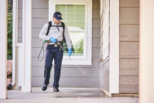 Specialized Pest Extermination