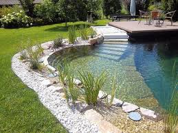 30 Amazing Backyard Swimming Ponds Ideas Beautifulhouse99 Info In 2020 Pool Landscaping Natural Swimming Pools Swimming Pond