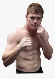 Santos saúl canelo álvarez barragán), род. Saul Alvares Saul Alvarez Saul Canelo Alvarez Steroids Hd Png Download Kindpng