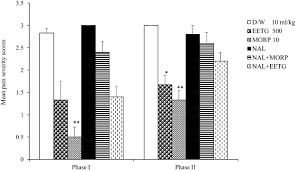 Image result for Tapinanthus dependens