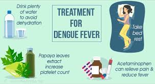 It is advised to not have any stagnant water around as it acts as breeding ground for the mosquitoes. How Does One Treat Dengue Fever Quora