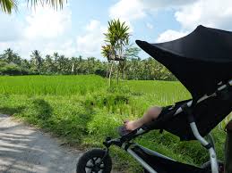Indonesien rundreise indonesien urlaub bali reisen asien reisen bali reiseführer bali tipps bali urlaub reise um die welt ubud. Bali Mit Kleinkind Ein Tropisches Paradies Fur Kleine Kinder Reiseblog Travel Sisi