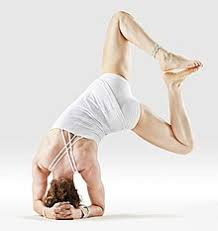 Pages on your legs up resource card bored headstands. Headstand Wikipedia