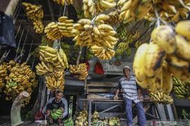 Mengolah bahan makanan diatas lempengan besi panas disebut. Terapi Pisang Antara News Jambi