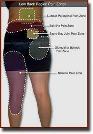 Periostitis, fractures, myositis, arthritis, metastases, low back pain nervous system: Pin On Body