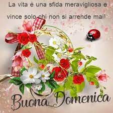 Pin Di Nicoletta Den Su Buona Domenica Nel 2020 Buona Domenica Immagini Domenica