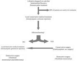 Meniere S Disease Surgical Treatment Intechopen