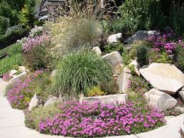 Free shipping on orders over $25 shipped by amazon. Drought Tolerant Rock Garden North Carolina Extension Gardener Plant Toolbox