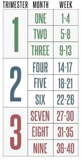 Paradigmatic Pregnant Size Chart New Tylenol Dosage Chart