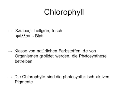 Beim chlorophyll a ist der kettenförmige teil des moleküls eine veresterte form. Struktur Und Funktion Von Chlorophyll Ppt Video Online Herunterladen