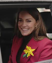 We had many political visitors to our stand at the Royal Welsh Show today.  They were interested to hear what we had to say and learn about the  unnecessary industrialisation of Mid