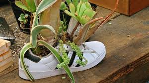 Masterclass Ron Finley Teaches Gardening In 2020 Healthy Garden Fine Gardening Organic Gardening Pest Control