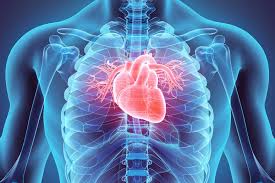 Cardiac Studies | MIC Medical Imaging