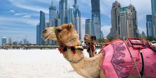 Statistics about dubai tourism in 2019. Huge Tourist Numbers Reflect Uae Charm Uae Barq