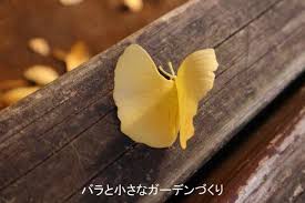 イチョウの葉でつくるバラの花 バラと小さなガーデンづくり