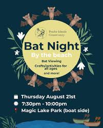 Recommendations for a someone to do a dry river landscape area?