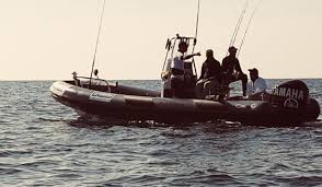 Capelli tempest 550, motore yamaha f80 con 430 ore di moto tutto 2005. Gommoni Tempest Capelli Ribs Division Maresport Team