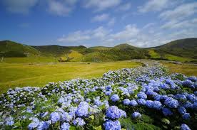 A ilha das flores, nos açores, é mesmo um dos lugares mais bonitos. The Inescapable Azores Acores