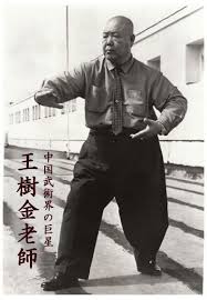 Video Tai Chi Con Wang Shujin Tai Chi Xing Yi Quan Tai Chi Chuan