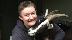 Northland couple find the good life with goats