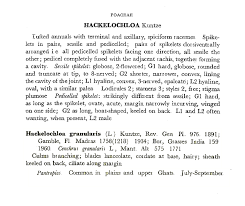 Image result for Hackelochloa granularis