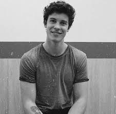 Shawn Mendes In My Dreams You Re With Me 