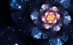 Blue Mystic Flower Beautiful Flowers Wallpapers Flower Wallpaper Dark Flowers