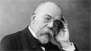 Evolution of wound management throughout history