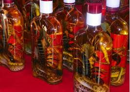 Image result for snake wine